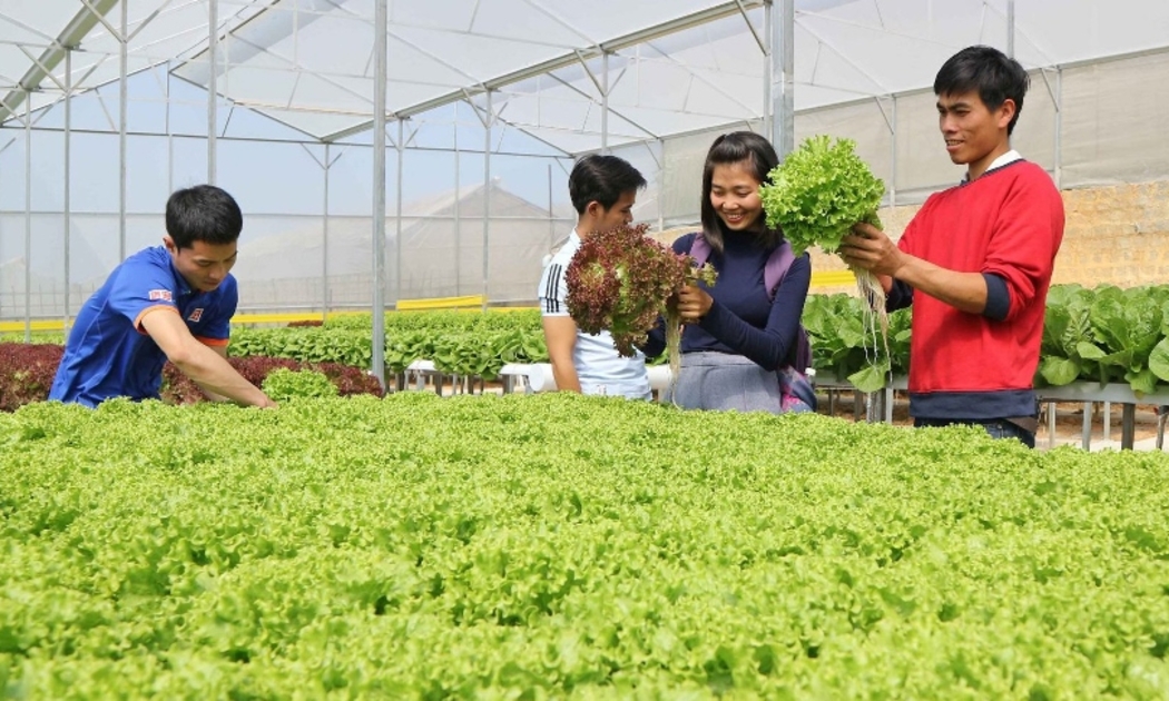 Phát triển nông nghiệp công nghệ cao vẫn đang vấp phải nhiều thách thức. Ảnh minh họa.