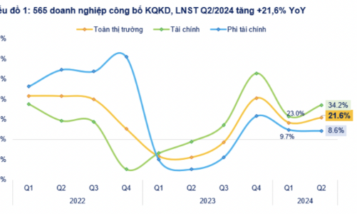 Cập nhật lợi nhuận quý 2/2024: 565 doanh nghiệp công bố, nhóm ngân hàng vượt trội tăng 34%