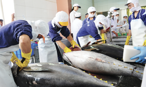 Thị trường Mỹ và Nhật khởi sắc, cổ phiếu nhóm thủy sản hưởng lợi vào cuối năm