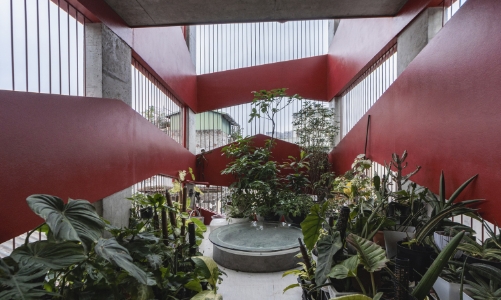 Giải pháp nào để “xanh hóa” nhà phố diện tích nhỏ?