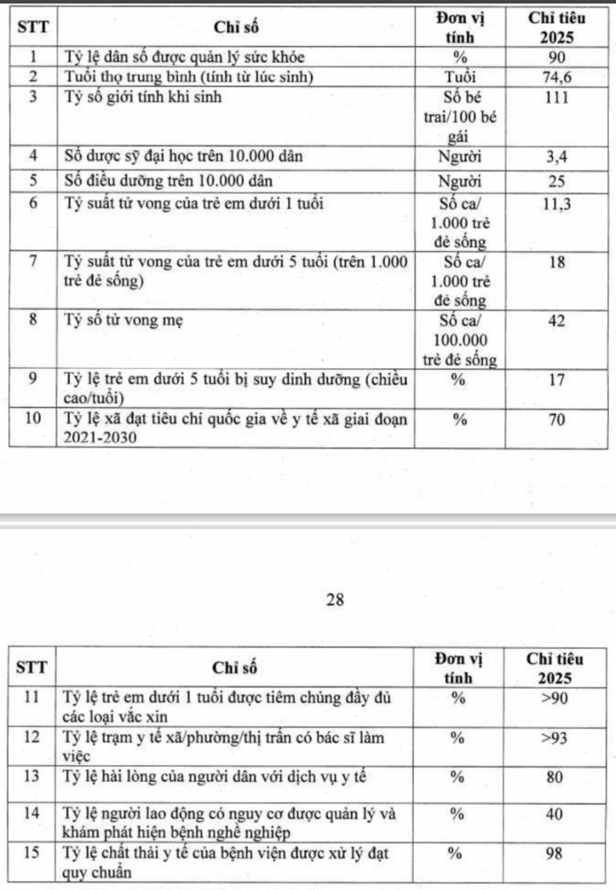 Các chỉ tiêu từng lĩnh vực. Ảnh chụp màn hình.