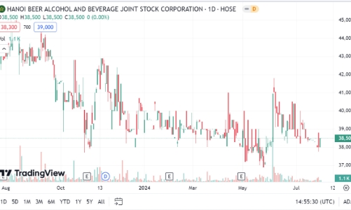 Lãi giảm, BHN dự chi hơn 347 tỷ trả cổ tức 2022 bằng tiền
