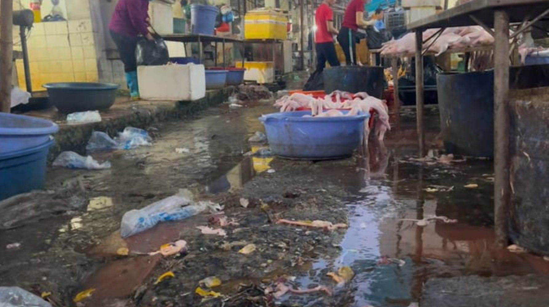 Tình trạng mất vệ sinh an toàn thực phẩm tại chợ Hải Bối. Ảnh: Đức Minh.