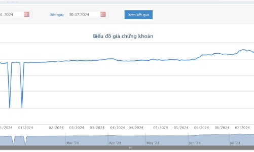 Quỹ ngoại America LLC chi gần 1.000 tỷ để tăng tỷ lệ nắm giữ tại SGN lên hơn 24%