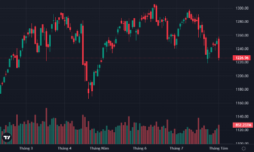 Sợ hãi dâng cao, cổ phiếu sàn la liệt, VN-Index giảm mạnh nhất 30 phiên
