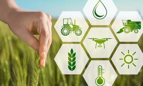 Chính phủ Australia tài trợ 1,45 triệu AUD cho các dự án đổi mới nông nghiệp bền vững tại Việt Nam