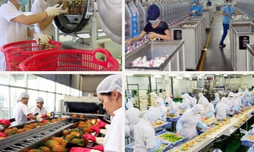 Kinh tế Ninh Bình tiếp tục khởi sắc 