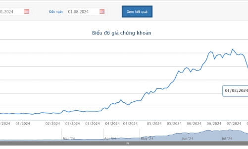 Quý 2/2024, HVN ghi nhận lãi trước thuế 1.146 tỷ và giải trình lộ trình khắc phục tình trạng cổ phiếu bị kiểm soát