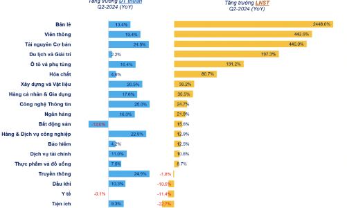 Cập nhật lợi nhuận quý 2/2024: Gần 1000 doanh nghiệp đã công bố, nhiều khoản lãi đột biến 