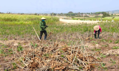 Những “doanh nông” trẻ Việt Nam không ngừng sáng tạo, nâng tầm nông sản địa phương