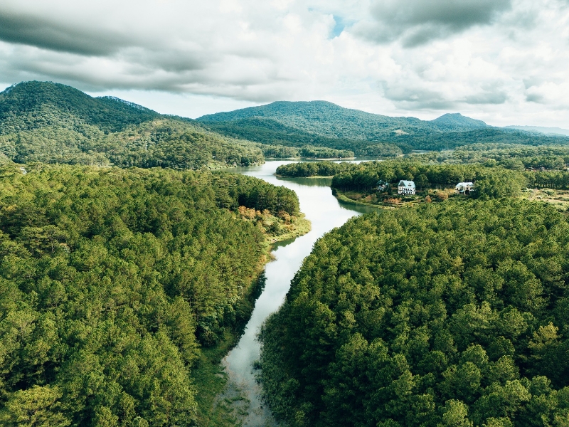 Connected carbon market essential for ASEAN