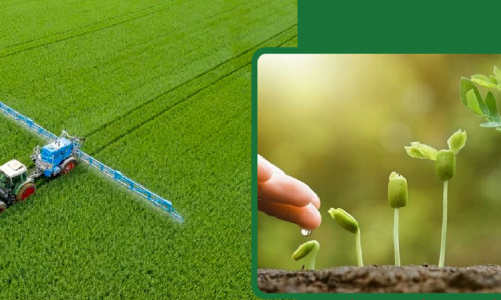 Ngành phân bón hướng tới nông nghiệp xanh, phấn đấu tỷ trọng phân bón hữu cơ chiếm 50%