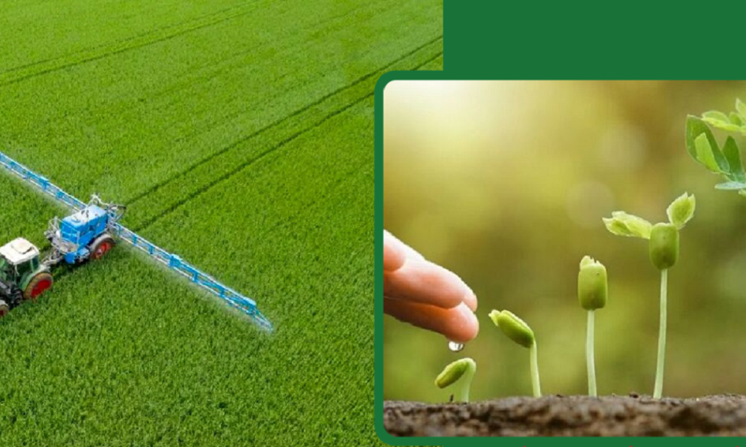 Sử dụng phân bón hữu cơ là giải pháp lâu dài dựa trên cơ sở ứng dụng các tiến bộ khoa học công nghệ hiện đại.