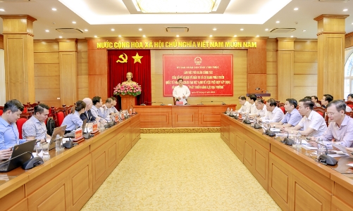 Vĩnh Phúc triển khai Dự án phát triển năng lực địa phương