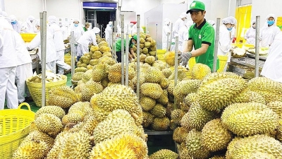 Application of Sanitary and Phytosanitary Measures as required by WTO to be increased