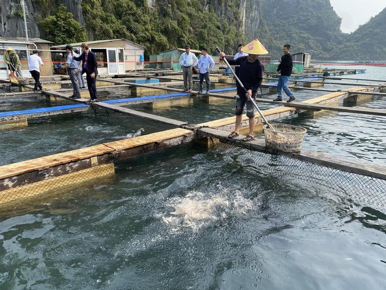 July seafood export records highest growth since early this year