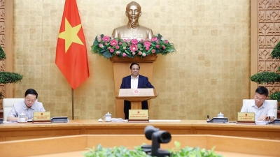 Prime Minister Pham Minh Chinh chairs regular monthly Government meeting for July