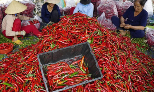 EU gia tăng cảnh báo an toàn thực phẩm với nông sản Việt Nam