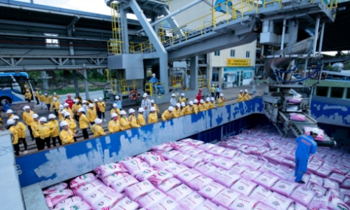 Phân bón Cà Mau thắng lớn 6 tháng đầu năm