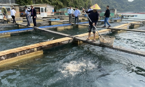 Xuất khẩu thuỷ sản tháng 7 tăng 14%, cao nhất trong 6 tháng qua 