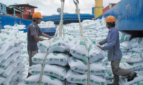 Gạo Việt Nam vững chắc “ngôi đầu” tại thị trường Đông Nam Á