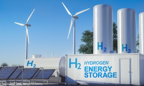 Hành trình hướng tới mục tiêu Net Zero của tỉnh Đồng Nai