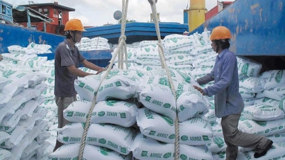 Rice exports harvest $3.27 bln in 7M