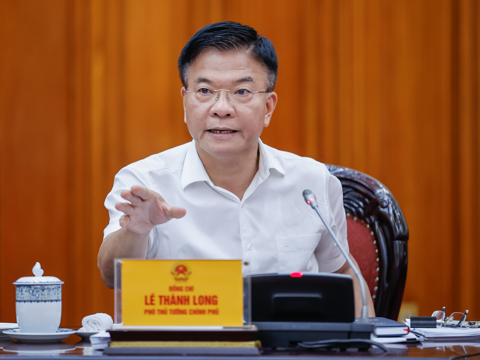 Phó Thủ tướng Lê Thành Long phát biểu tại Phiên họp - Ảnh: VGP