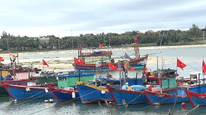 Deputy PM asks for urgent implementation of tasks against IUU fishing