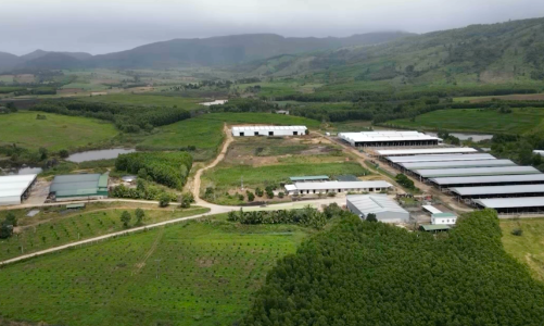 TP.HCM: Đất cho thuê, giao đất nếu không gia hạn sẽ bị thu hồi