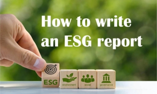 Tiêu chuẩn và giải pháp uy tín để xây dựng báo cáo ESG