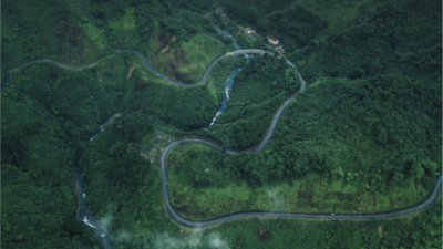 Indian businesses seek investment opportunities in carbon credit projects in Vietnam