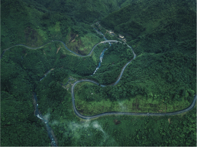 Indian businesses seek investment opportunities in carbon credit projects in Vietnam