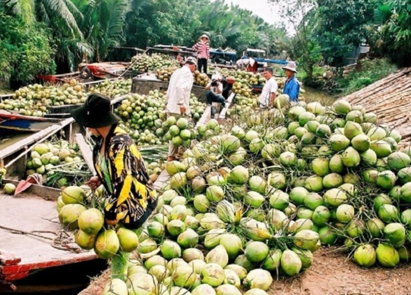 Việt Nam và Trung Quốc đã nhất trí sớm hoàn tất cả thủ tục để ký kết Nghị định thư về yêu cầu kiểm dịch quả dừa tươi trong thời gian tới, sẽ mở ra triển vọng xuất khẩu cho trái dừa của Việt Nam.