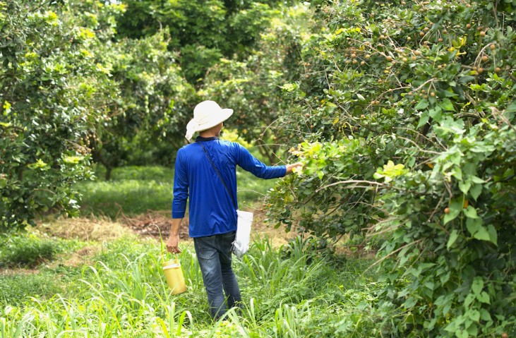 Dự án góp phần nâng đỡ nông nghiệp Việt bằng cách kết nối các doanh nghiệp và nhà vườn trên khắp cả nước, định hình đầu ra cho sản phẩm thuộc nhóm tươi sống qua ngạch trực tuyến.