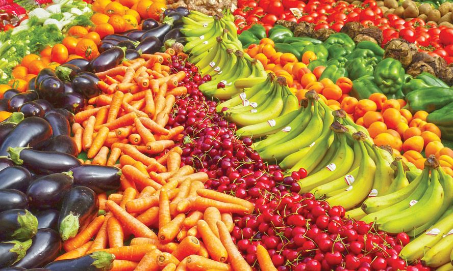 Tăng trưởng xuất khẩu của Việt Nam sang Đức nửa đầu năm 2024  chủ yếu nhờ nhóm hàng nông thuỷ sản. Ảnh minh họa.