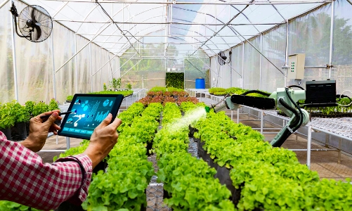 TP.HCM thúc đẩy khởi nghiệp, sáng tạo trong lĩnh vực nông nghiệp công nghệ cao