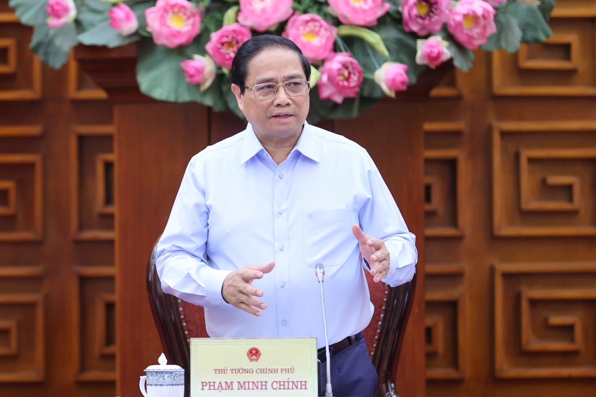 Thủ tướng phát biểu tại cuộc họp - Ảnh: VGP