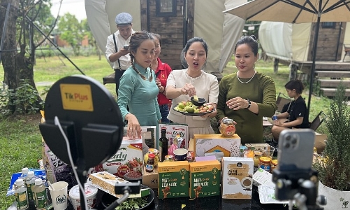 TP.HCM tăng cường kiểm tra kinh doanh trên thương mại điện tử