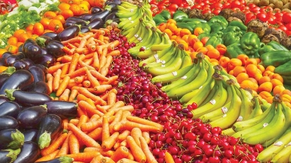 Vietnam-Germany trade value hits $5.57 bln in 1H