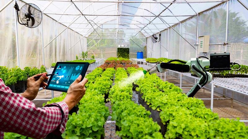 HCM City promotes startups in high-tech agriculture