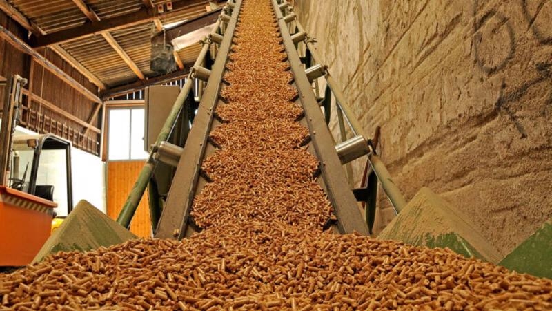 2.6 mln tons of wood pellets exported in 6M