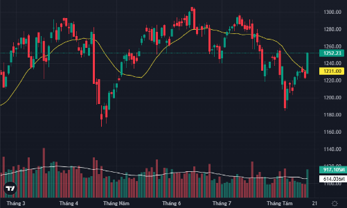 Cổ phiếu kịch trần cả loạt, VN-Index tăng mạnh kỷ lục 9 tháng