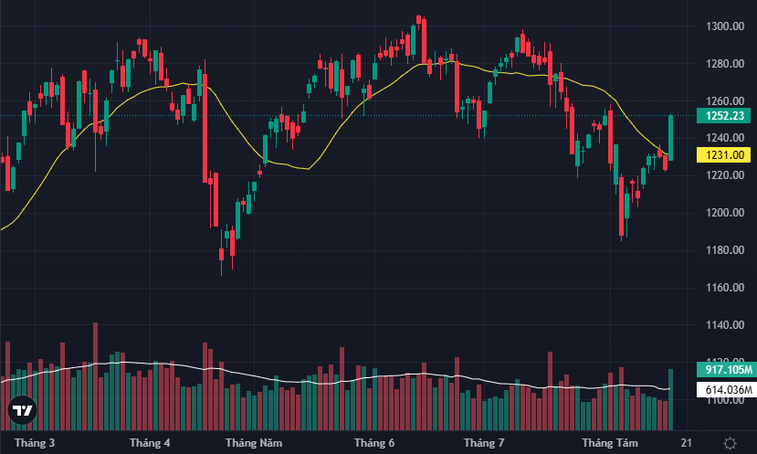 VN-Index có một phiên kéo bất ngờ, biên độ tăng mạnh đột biến và thanh khoản rất tốt.