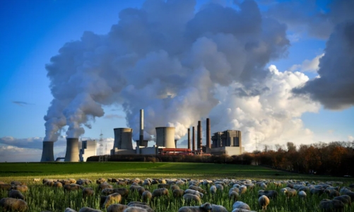 Nghịch lý tài chính cản trở nỗ lực chống biến đổi khí hậu toàn cầu