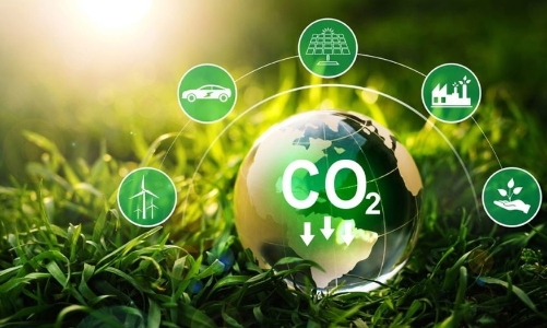 Việt Nam mới chỉ vào được thị trường tín chỉ carbon giá thấp