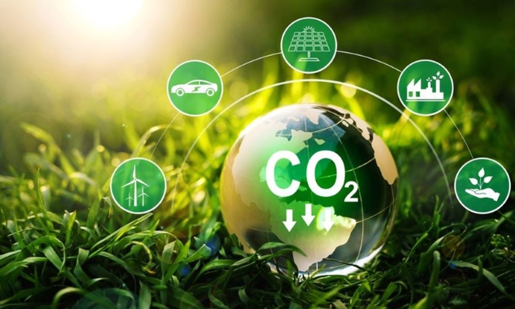 Lợi ích của thị trường tín chỉ carbon rất lớn