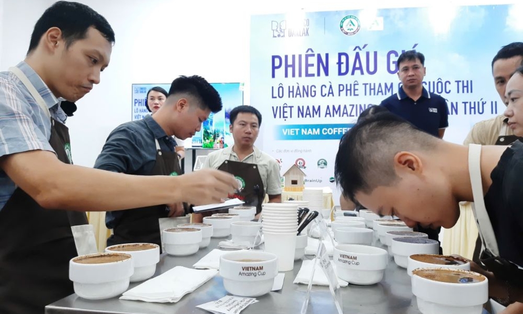Tại phiên đấu giá, các khách hàng được nếm thử cà phê rồi mới trả giá cho lô hàng cà phê.