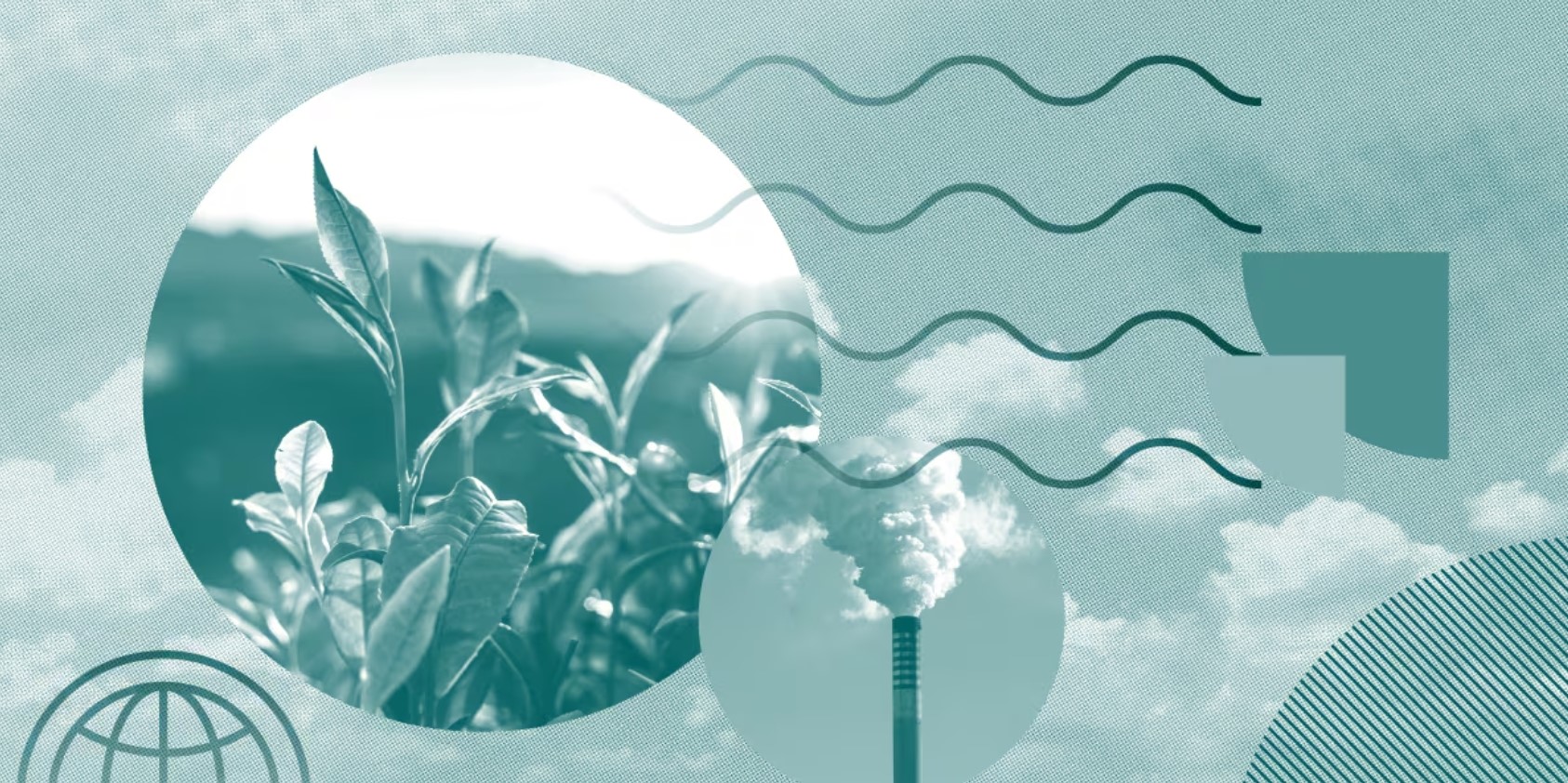 Các ngân hàng cần nỗ lực hơn nữa để tiến tới phi carbon thực chất, thay vì chỉ cam kết trên giấy tờ. Nguồn ảnh: Morningstar Star.