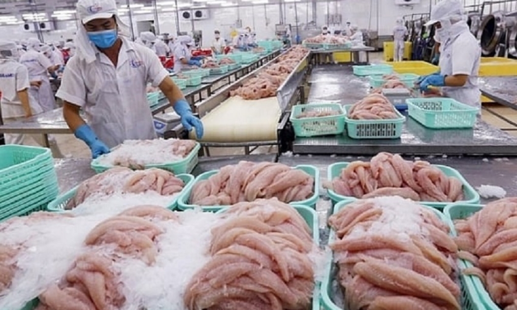 Việt Nam xuất khẩu sang Mexico chủ yếu là sản phẩm cá tra phile đông lạnh và cá tra cắt khúc đông lạnh. Ảnh minh họa.